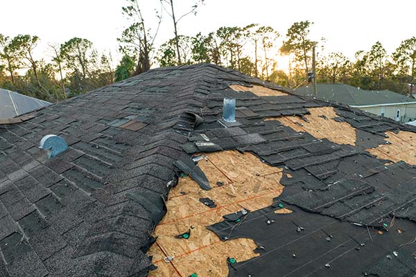 Learn More About Storm Damage