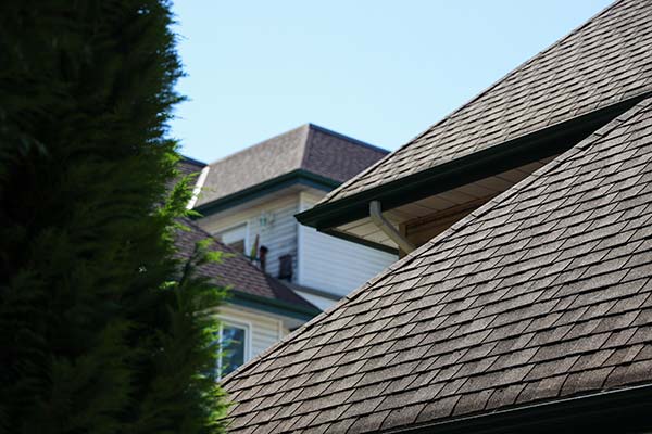 Professional Roofing Services