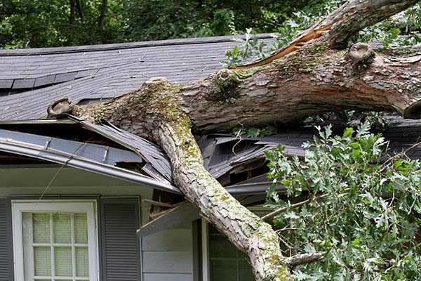 Roofing Storm Damage Services