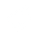 Hail Alert Icon 1